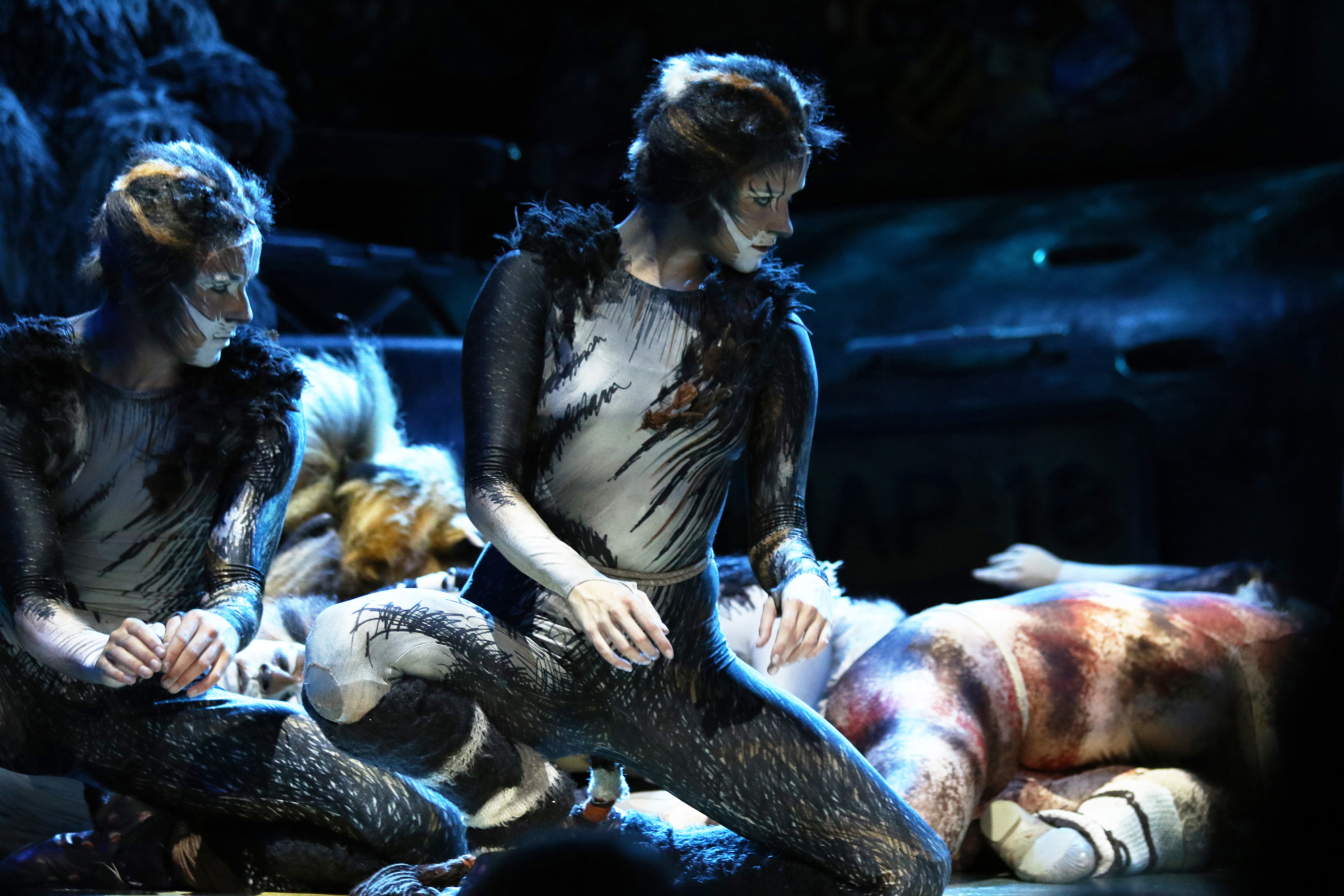 Huvudattraktionen i teatern är en 90 minuter lång och påkostad uppsättning av musikalen Cats.
