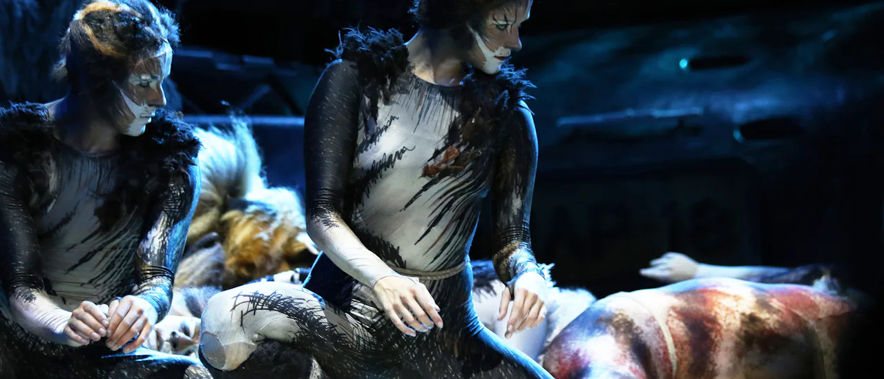 Huvudattraktionen i teatern är en 90 minuter lång och påkostad uppsättning av musikalen Cats.